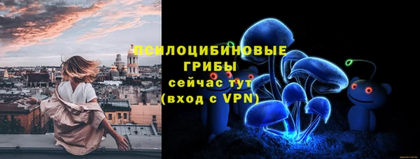 прущая мука Горняк