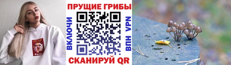 Галлюциногенные грибы ЛСД  блэк спрут ТОР  Артёмовский  продажа наркотиков 